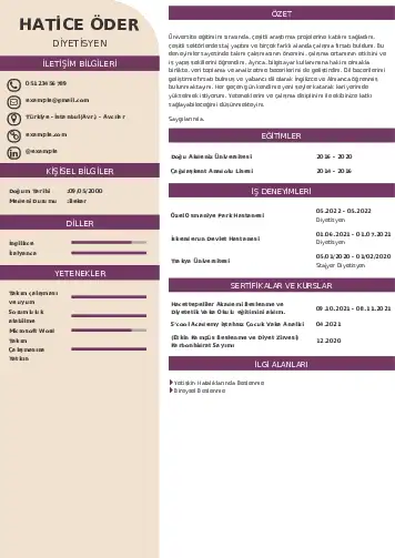 Beslenme Uzmanı Diyetisyen CV Örnekleri cv indir